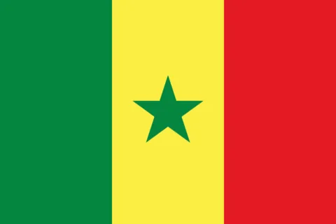 Ministère de la Culture du Sénégal, Direction de la cinématographie